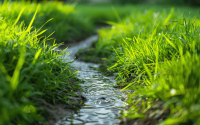 Solve Your Drainage Woes: Expert Solutions for Land Management!
